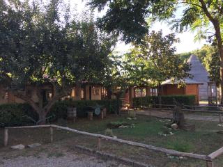 La dimora degli Etruschi - 3