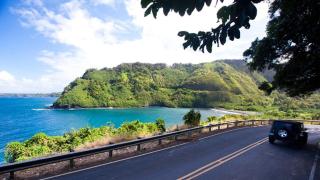 Kulakane 211 · KK 211 Updated OceanFront Whale Watching - 2
