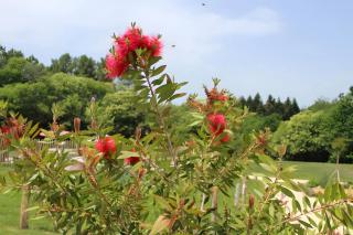 Domaine Le Rucher des Combes - 1