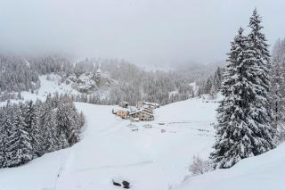 Sunny, rustical 5 room cottage in Valposchiavo - 9