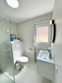 Basilisk Homes - in Grenzach-Wyhlen bei Basel - 4 x Moderne Fewos je 1bis2, 1bis4 oder 1bis6 Pers mit Küche und Balkon oder Terrasse - Parkplätze vorhanden - 9