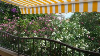 Apartments Maruška i Jana - Orebić - 8