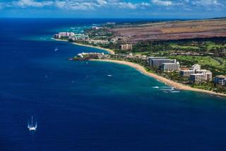Paki Maui 217 · PM 217 Cozy 1BR Oceanfront Condo w Pool - 1
