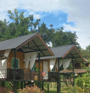 Rainbow House Pai - 8