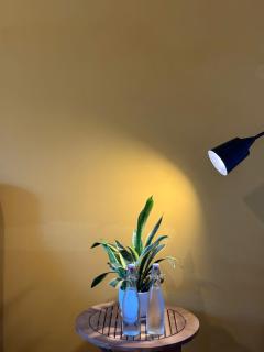 ROMITTO RIVERSIDE in HOI AN POOL VILLA - 7