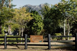 Tuckeroo Cottages & Gardens - Blue Wren & Kookaburra - 7