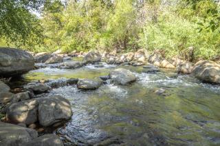 Riverside Retreat in Three Rivers - Natures Paradise - 5