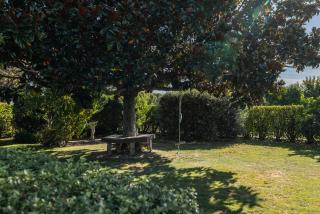 Beautiful Large Central Napier Home - 5