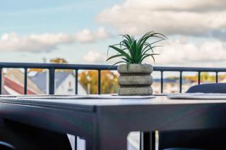 BaLa Suites Apartment House - 4