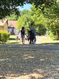 Le Domaine du Bois Coquet - 8