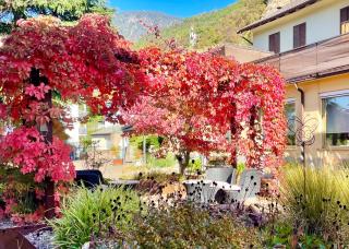 Hotel Garni Grüner Baum (Albero Verde) - 6