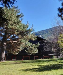 TERRY LODGE-Luxury Apartment-central ski area - 8