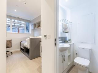 Student Only, Elegant Bronze Studio in Paddington - 9