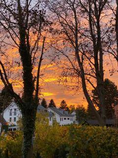 Zwei Zimmer im Reihenhaus - 2