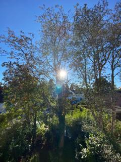 Zwei Zimmer im Reihenhaus - 1