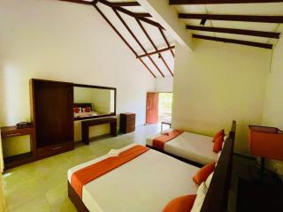 Citrine Belihuloya - 7