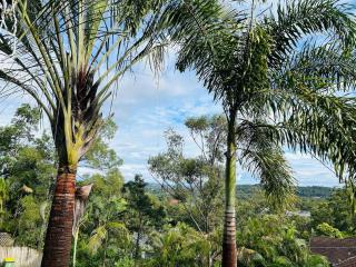 Tropical escape in central location Entire house - 7