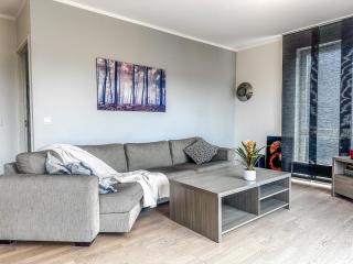 Spacious 1-BR, central, fully equipped, Smart TV - 4