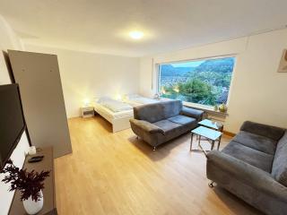 Modern Apartment in Lichtenstein - 9