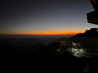 Pine Forest Retreat - 5