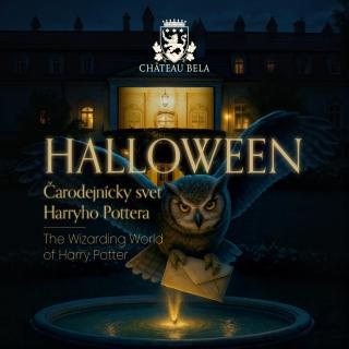 Hotel Château Bela - 7