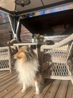 Nord-Garthus, leilighet 2 - 3