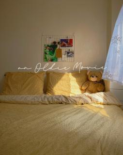 Double Room in Apartment - 7