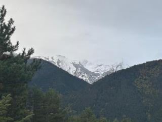 Emily Pirin Golf - 8