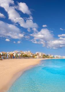 NIU Line - Be Line Group - 9