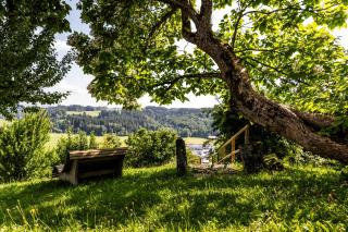 Hotel zur Rose - 9