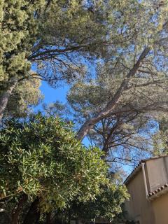 Petit mazet proche de la mer - 1