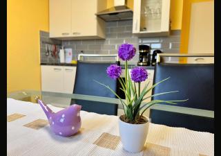 Ferienwohnung Brüderkirche der WAG - 5