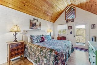 The Bear Necessities - 2