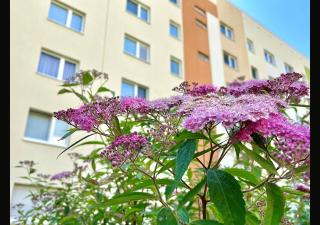 Ferienwohnung Nikolaikirchturm der WAG - 7