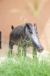 Cozy apartment in Tamraght - Taghazout Bay - 4