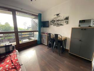 Studio 4 pers., proche pistes (80m) & centre village (200m), bien équipé, animaux acceptés - FR-1-733-57 - Crest-Voland - 9