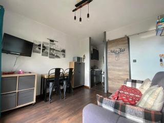 Studio 4 pers., proche pistes (80m) & centre village (200m), bien équipé, animaux acceptés - FR-1-733-57 - Crest-Voland - 8