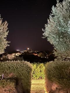 Villa Bellavista Chia - 4