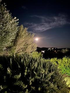 Villa Bellavista Chia - 1