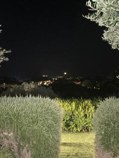 Villa Bellavista Chia - 1