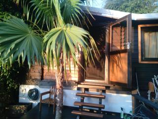 The Papangue's Nest - 7