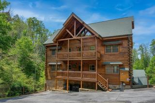 Smoky Mountain Cinema - 9