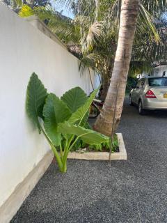 Rosewood Cozy 3-Bedroom with garden & best beach escape - 6