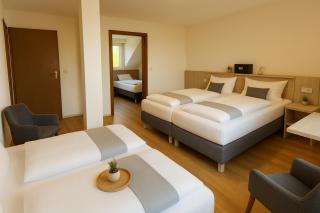 Hotel Daucher - 8