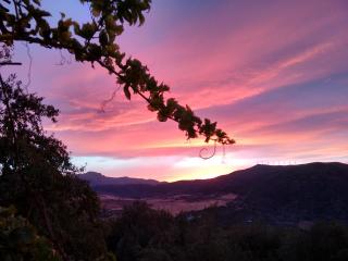 Finca La Piedra Holidays - Alora - 0