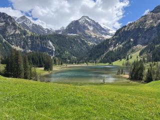 Chalet Schneelöwe - 6