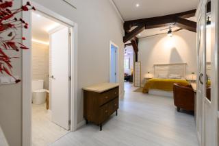 PDA2BI Loft de lujo, de diseño, histórico, a estrenar! Temporal - 4