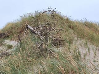 8 person holiday home in Harboøre-By Traum - 8