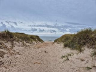 8 person holiday home in Harboøre-By Traum - 1