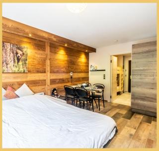 La Petite Ourse I Studio meublé Bernex - 2